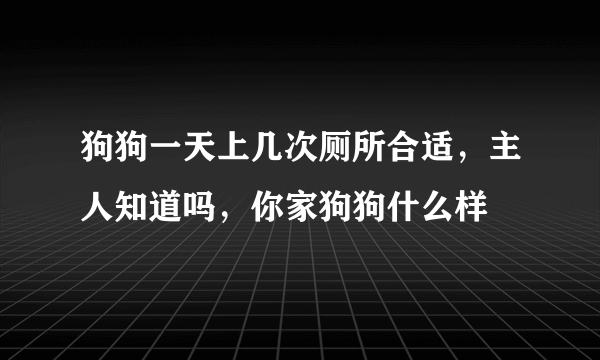 狗狗一天上几次厕所合适，主人知道吗，你家狗狗什么样