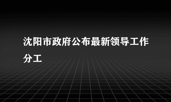 沈阳市政府公布最新领导工作分工