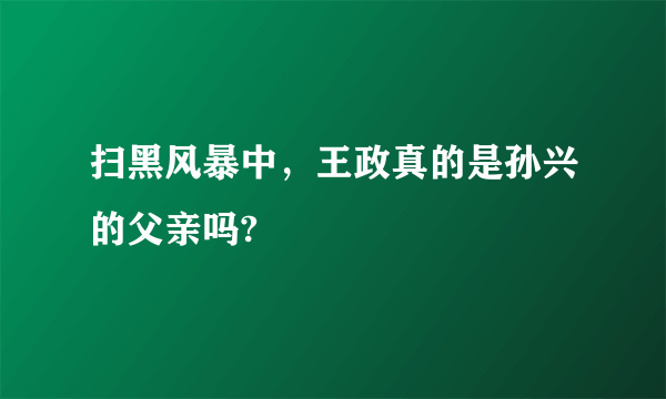 扫黑风暴中，王政真的是孙兴的父亲吗?