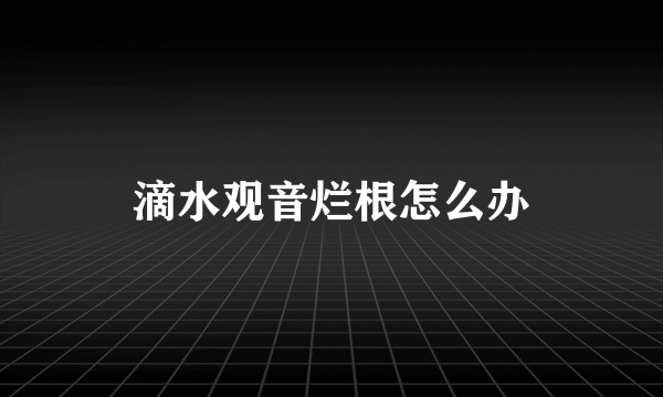 滴水观音烂根怎么办