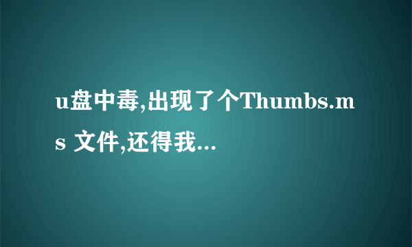 u盘中毒,出现了个Thumbs.ms 文件,还得我把其他全部删除了,可是这文件还是删不掉