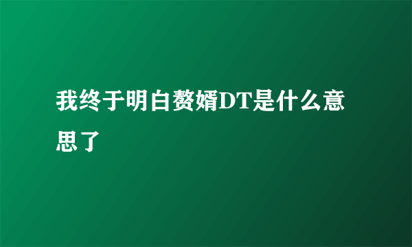 我终于明白赘婿DT是什么意思了