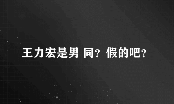 王力宏是男 同？假的吧？