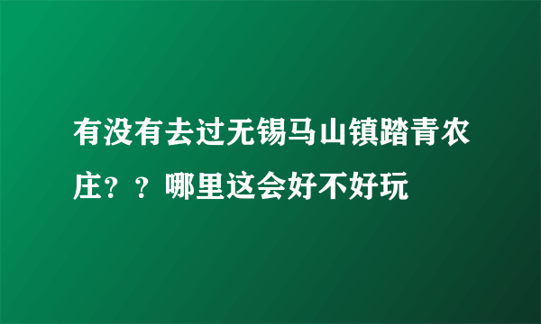 有没有去过无锡马山镇踏青农庄？？哪里这会好不好玩