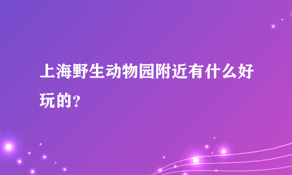 上海野生动物园附近有什么好玩的？