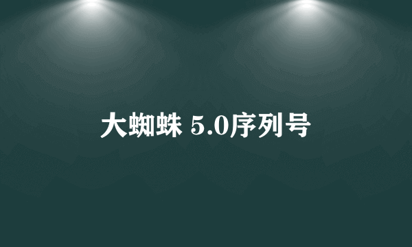 大蜘蛛 5.0序列号