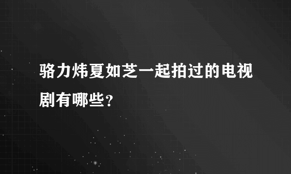 骆力炜夏如芝一起拍过的电视剧有哪些？