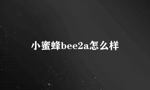 小蜜蜂bee2a怎么样