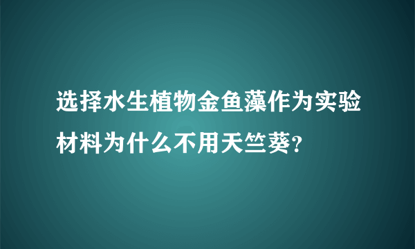 选择水生植物金鱼藻作为实验材料为什么不用天竺葵？