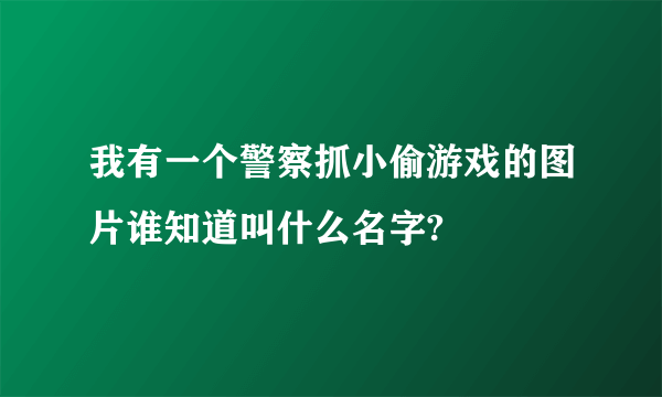 我有一个警察抓小偷游戏的图片谁知道叫什么名字?