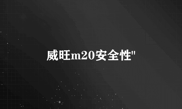 威旺m20安全性