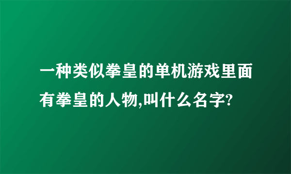 一种类似拳皇的单机游戏里面有拳皇的人物,叫什么名字?