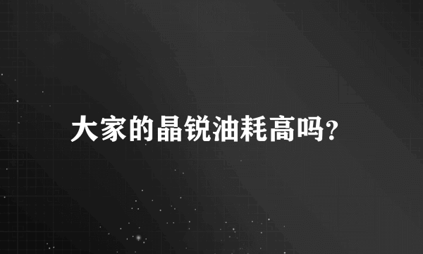 大家的晶锐油耗高吗？