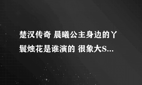 楚汉传奇 晨曦公主身边的丫鬟烛花是谁演的 很象大S 比大S漂亮 比晨曦漂亮比虞姬漂亮 太抢眼了