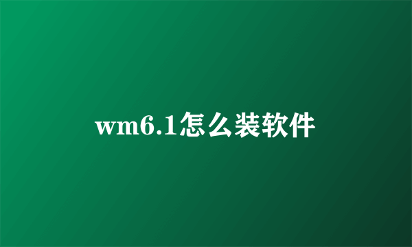 wm6.1怎么装软件