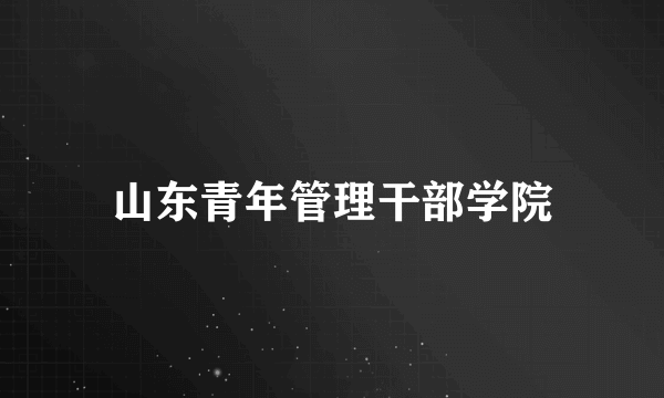 山东青年管理干部学院