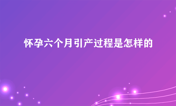 怀孕六个月引产过程是怎样的