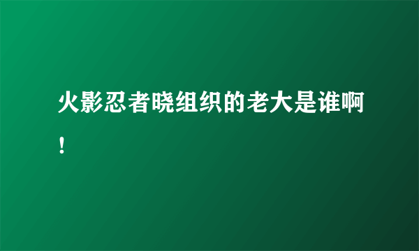 火影忍者晓组织的老大是谁啊！