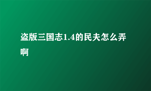 盗版三国志1.4的民夫怎么弄啊