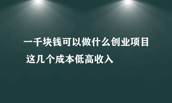 一千块钱可以做什么创业项目 这几个成本低高收入