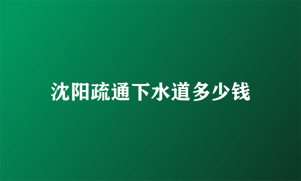 沈阳疏通下水道多少钱