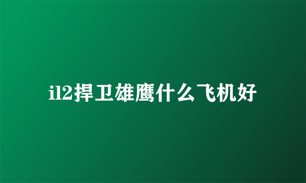 il2捍卫雄鹰什么飞机好