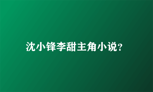 沈小锋李甜主角小说？