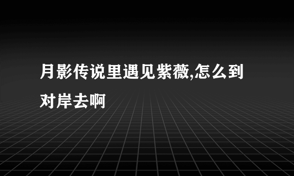 月影传说里遇见紫薇,怎么到对岸去啊