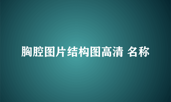 胸腔图片结构图高清 名称