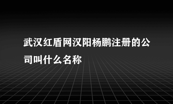 武汉红盾网汉阳杨鹏注册的公司叫什么名称