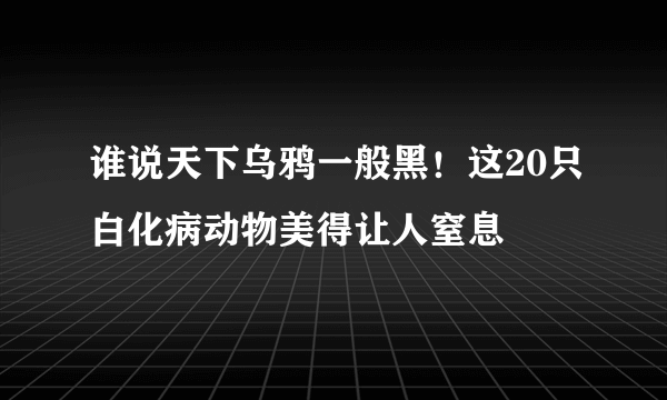 谁说天下乌鸦一般黑！这20只白化病动物美得让人窒息