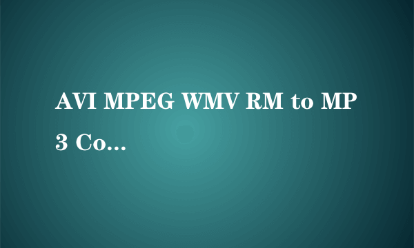 AVI MPEG WMV RM to MP3 Converter  转换完少了