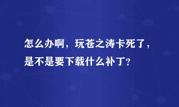 怎么办啊，玩苍之涛卡死了，是不是要下载什么补丁？