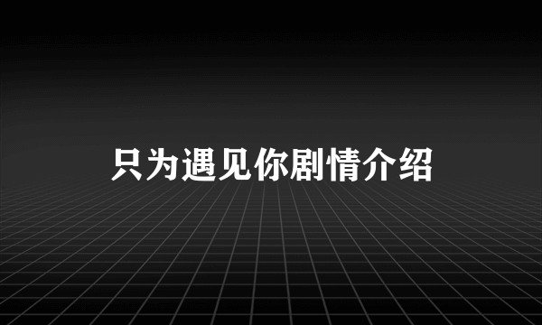 只为遇见你剧情介绍