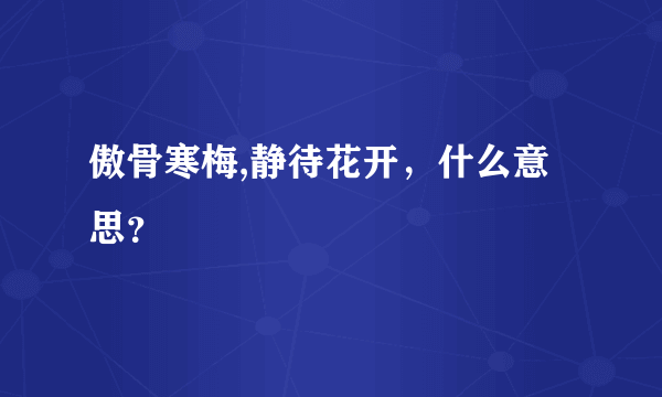 傲骨寒梅,静待花开，什么意思？