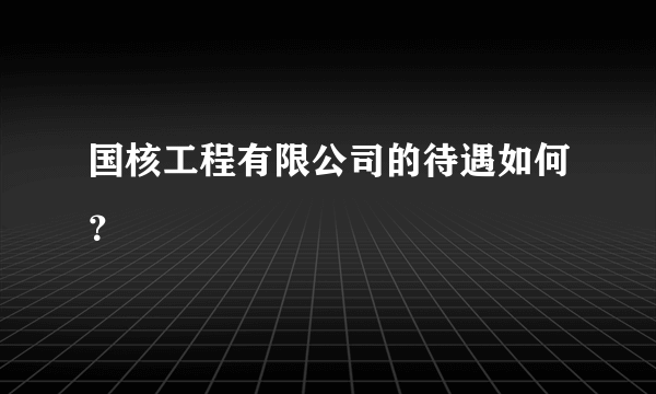 国核工程有限公司的待遇如何？