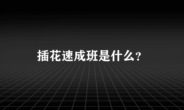 插花速成班是什么？