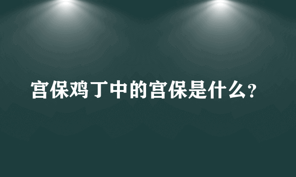 宫保鸡丁中的宫保是什么？