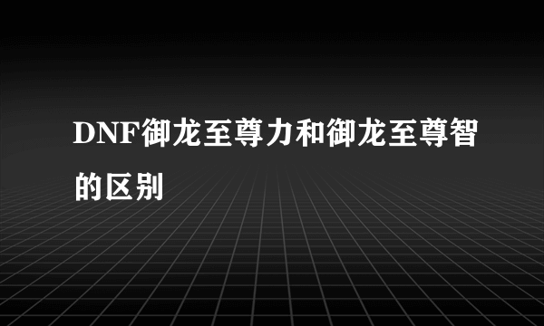 DNF御龙至尊力和御龙至尊智的区别