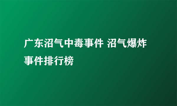 广东沼气中毒事件 沼气爆炸事件排行榜