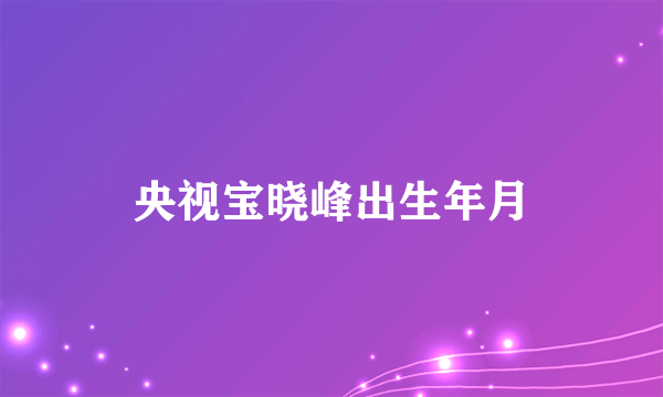 央视宝晓峰出生年月