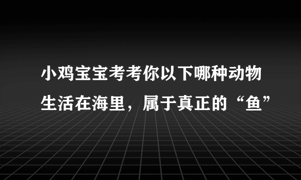 小鸡宝宝考考你以下哪种动物生活在海里，属于真正的“鱼”