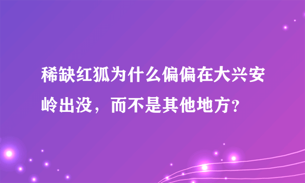 稀缺红狐为什么偏偏在大兴安岭出没，而不是其他地方？