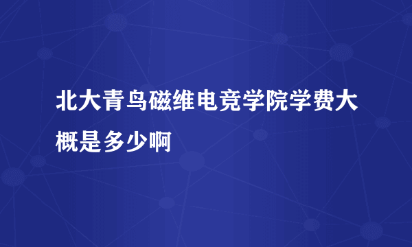 北大青鸟磁维电竞学院学费大概是多少啊