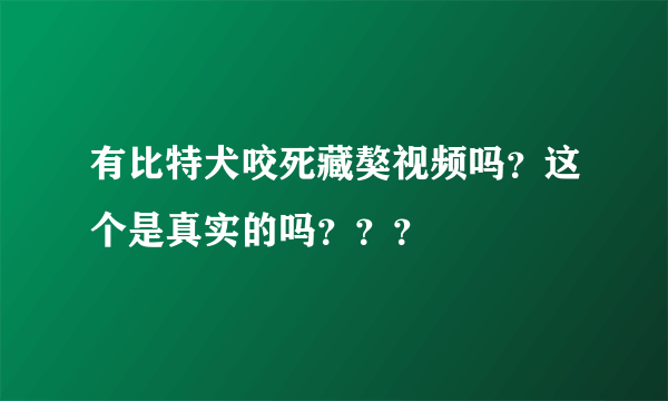 有比特犬咬死藏獒视频吗？这个是真实的吗？？？