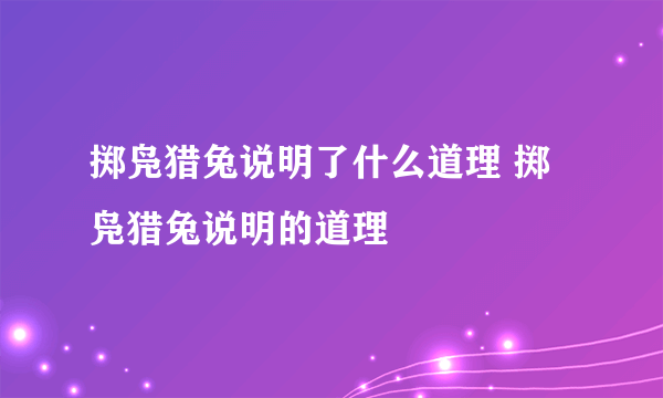 掷凫猎兔说明了什么道理 掷凫猎兔说明的道理