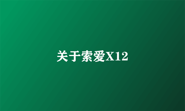 关于索爱X12