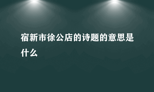 宿新市徐公店的诗题的意思是什么