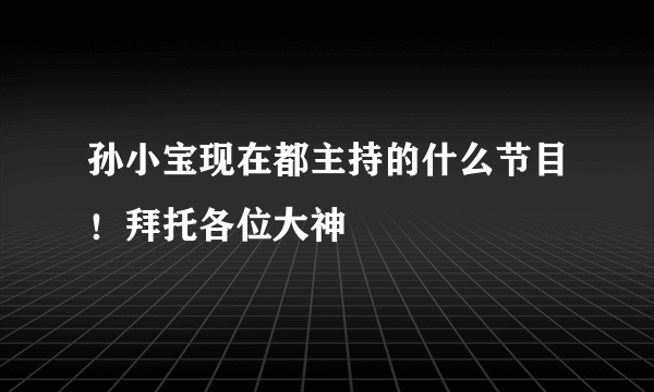 孙小宝现在都主持的什么节目！拜托各位大神