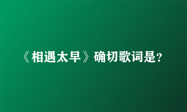 《相遇太早》确切歌词是？